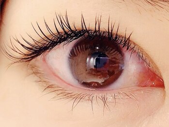 カラン 焼津店(CALIN)/フラットラッシュ120本