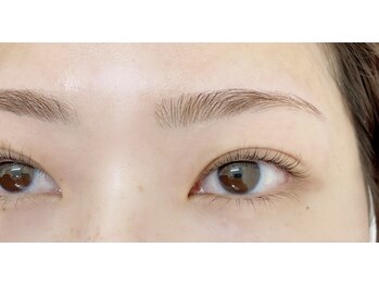 カメリア(Camellia)/ラッシュリフト