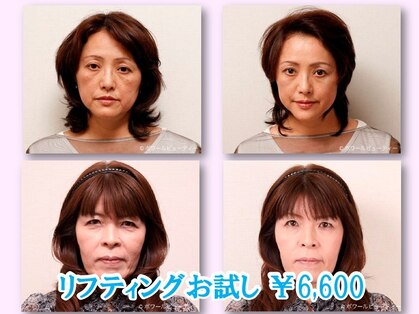 ピーチ ローズ(peach rose)の写真