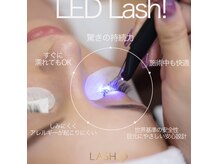 ルコル(LUCOL)の雰囲気（LEDエクステ導入/Wフラットやまつ毛パーマにも定評あり◎）