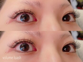 トワレ(Toware)/華やかボリュームラッシュ