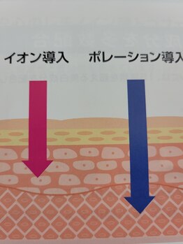 キミーエステティックサロン(kimmy esthetic salon)/ポレーション導入