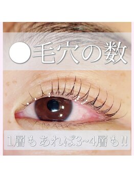 マホロ(mahoro)/毛穴の場所