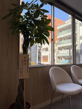 アロエ鍼灸整体院 南森町院/院内風景