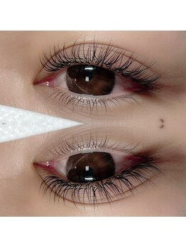 ナチュラリス(Naturalis)/