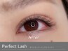 初回★特許技術持ち◎Perfect Lash100束(200本)【程よい濃さ】￥7700