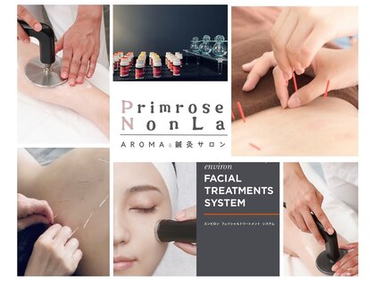 プリムローズノンラ(PrimroseNonla)の写真