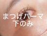 まつげパーマ 【下のみ】 4400円