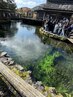 ウオーキング　回数券使用