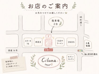 シルーナ(Ciluna)の写真