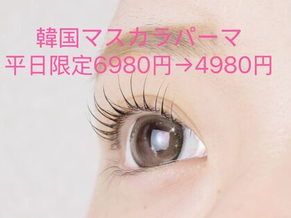 風のテラス 錦糸町店の写真