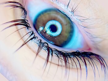 マロウ(mallow)/カラーフラットラッシュ