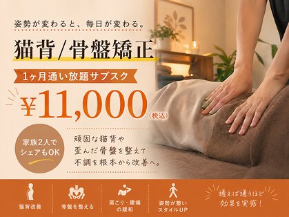 オレンジ(ORANGE)の写真