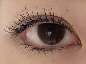 カラン 焼津店(CALIN)/フラットラッシュ100本