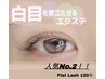 【8/26日限定！】★フラットラッシュ120本（オフ込み)¥4500