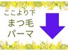 まつ毛パーマメニュー　これより下