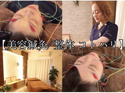 コトハリの写真