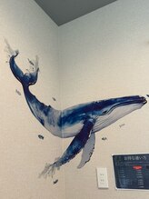 クジラのうたた寝 菊川店/うたた寝をしにお越しください♪