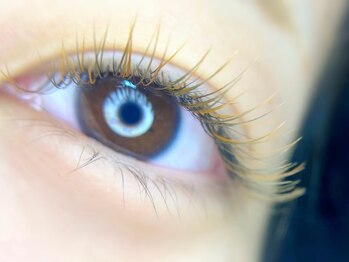 エクシア(EXCIA)/暖色カラー