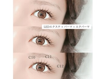 シーズントーキョー(SEASON Tokyo)/エクパーマ/エクパ