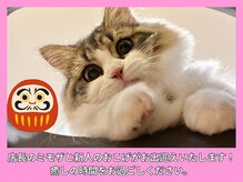 晴々の雰囲気（ミモザ店長と新人のおこげが癒しをさらに提供いたします！）