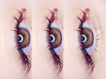 マロウ(mallow)/カラーフラットラッシュ