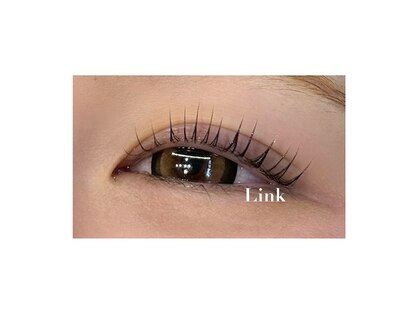 リンク(Link)の写真