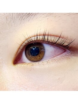 スプランドール(Splendeur)/ラッシュリフト上下