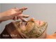 ソナミオール(SonaMior)の写真