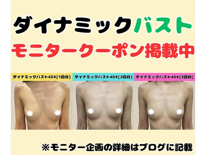 ポインセチア(Poinsettia)の写真