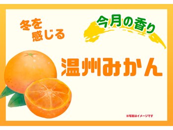 サクラ(Sakura)/今月の香り