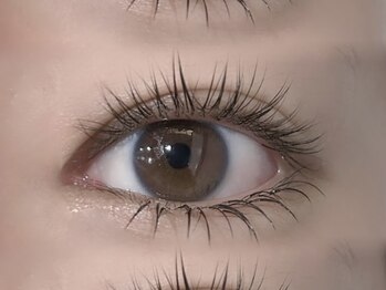 ネオリーアイラッシュ 恵比寿(neorii eyelash)の写真/流行りの韓国/ワンホンEYE★束感まつげパーマ＋ブラックティントでナチュラルに目力up!すっぴん映えも♪
