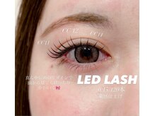 ビオラス 天王寺2号店(Biolus)/マツエク/LEDエクステ120本