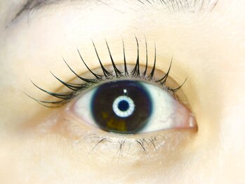 ヌーク(neuk)/ラッシュリフト（まつげパーマ）