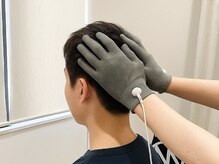 エルプラス(L+)/ミハツウェーブでテロメア活性化