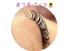 ヒマワリ 新浦安店(himawari)