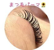 ヒマワリ 新浦安店(himawari)