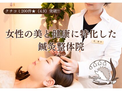 ナチュラルハリー(NaturalHarry)の写真