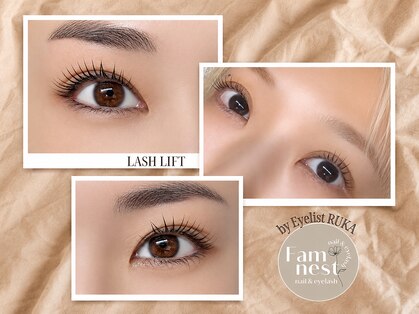 Fam nestの写真