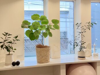 ユルピラティス 南青山 表参道(YUL Pilates)/心地の良い、開放的な空間で