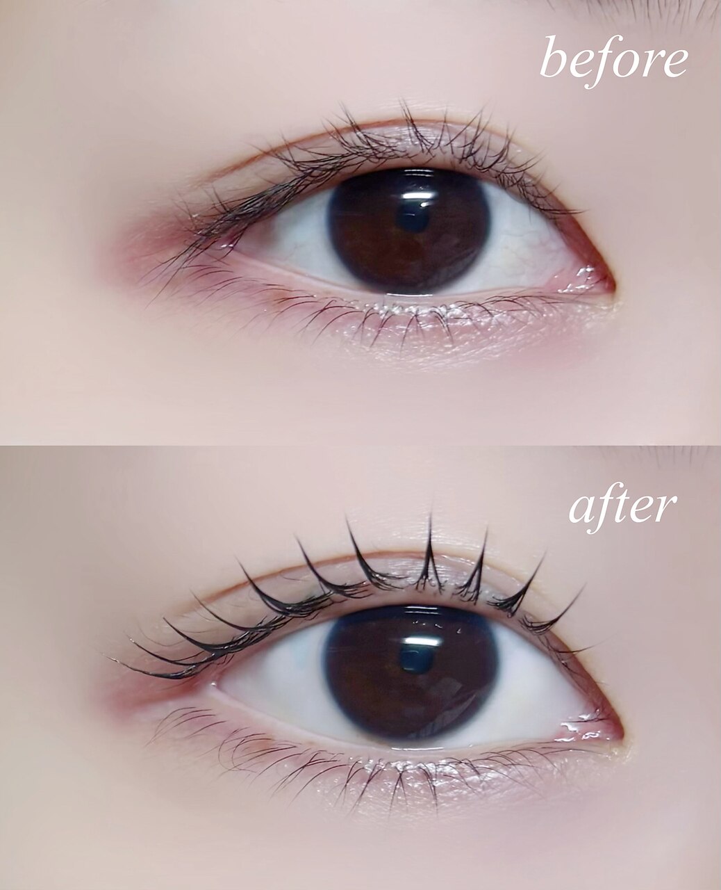 【SNSで話題】韓国風ブラックティントパーマ+トリ付 \9,500→\7,700