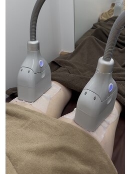 ビッグイーグルス/脂肪冷却『脚』