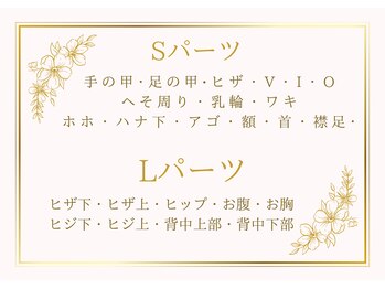 サロンドキャリー/脱毛パーツ
