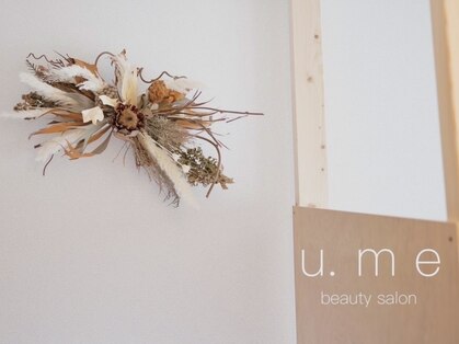 ウメ(u. m e)の写真