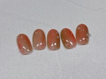 プレジール(Plaisir)/2026.4定額A