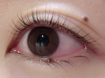 カラン 焼津店(CALIN)/ラスティングカール