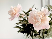 ピンクの奇跡/季節のお花や植物を飾っています