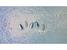 《HAND》8月のキャンペーン￥5480