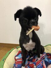 おうちサロン 祐天寺&nbsp;杏子 