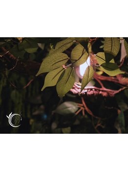 完全個室のリラクゼーションサロン